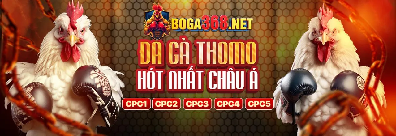 Giao diện đặt cược đá gà 1888bet casino