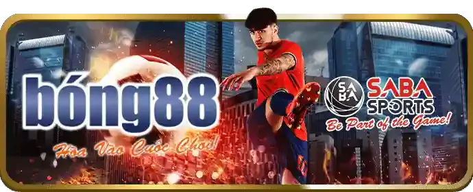 Bước 4: Bắt đầu săn cá và nhận thưởng